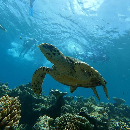 Athens View Hotel Guraidhoo  Buitenkant foto